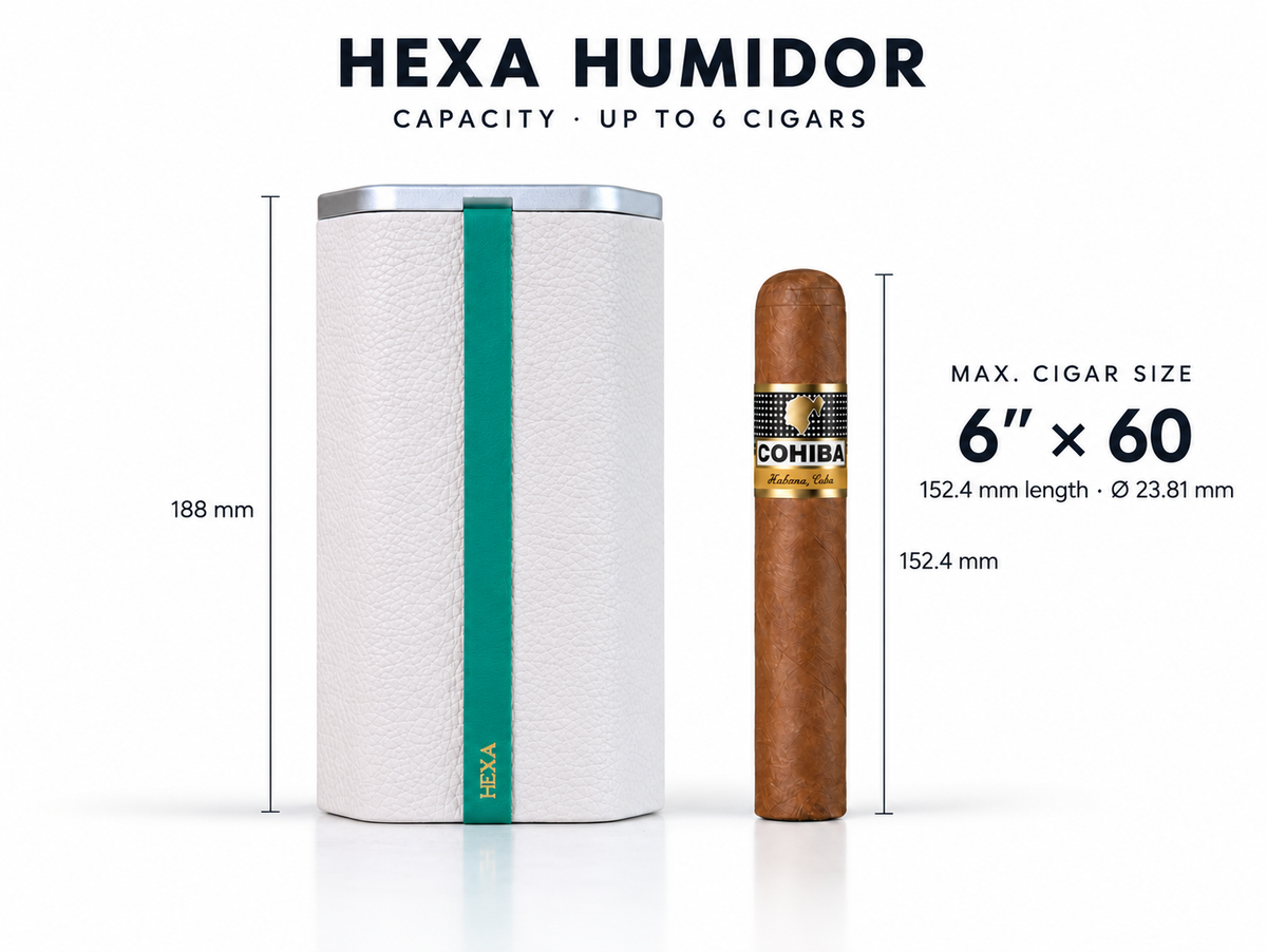 HỘP CHỨNG SỰ ẨM HEXA - TRẮNG
